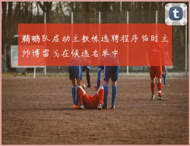鹈鹕队启动主教练选聘程序临时主帅博雷戈在候选名单中